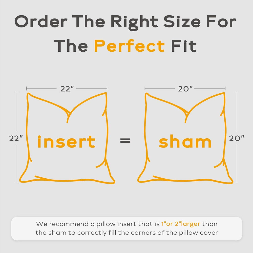 Down and Feather Throw Pillow Inserts 22x22 Soft Fluffy Pillow Inserts with 100% Down-Proof Cotton Cover - Set of 2