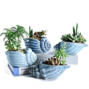 5.5" Conch Shell Succulent Pots, Ceramic Ocean Planters with Hole, 4 Pack