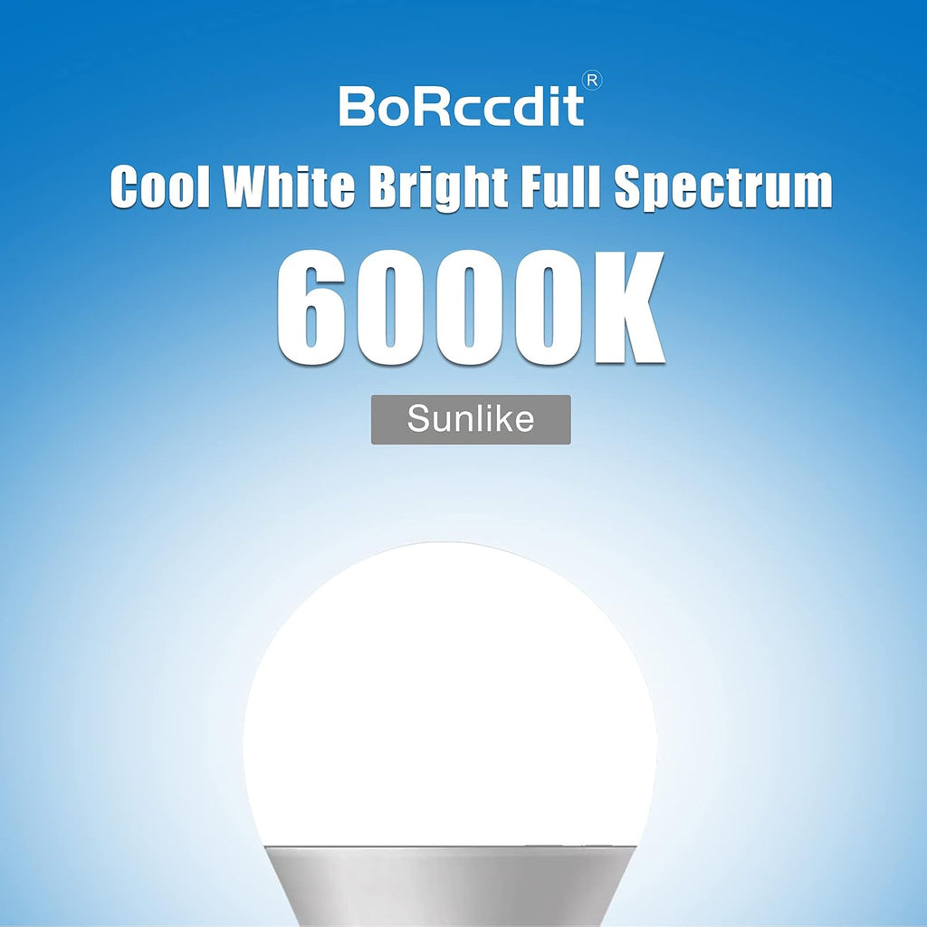 SunLike Full Spectrum Light Bulb 15W 1000lm Bright, Flicker-Free & UV-Free & Vivid 90+ CRI Comfort LED, A19 E26