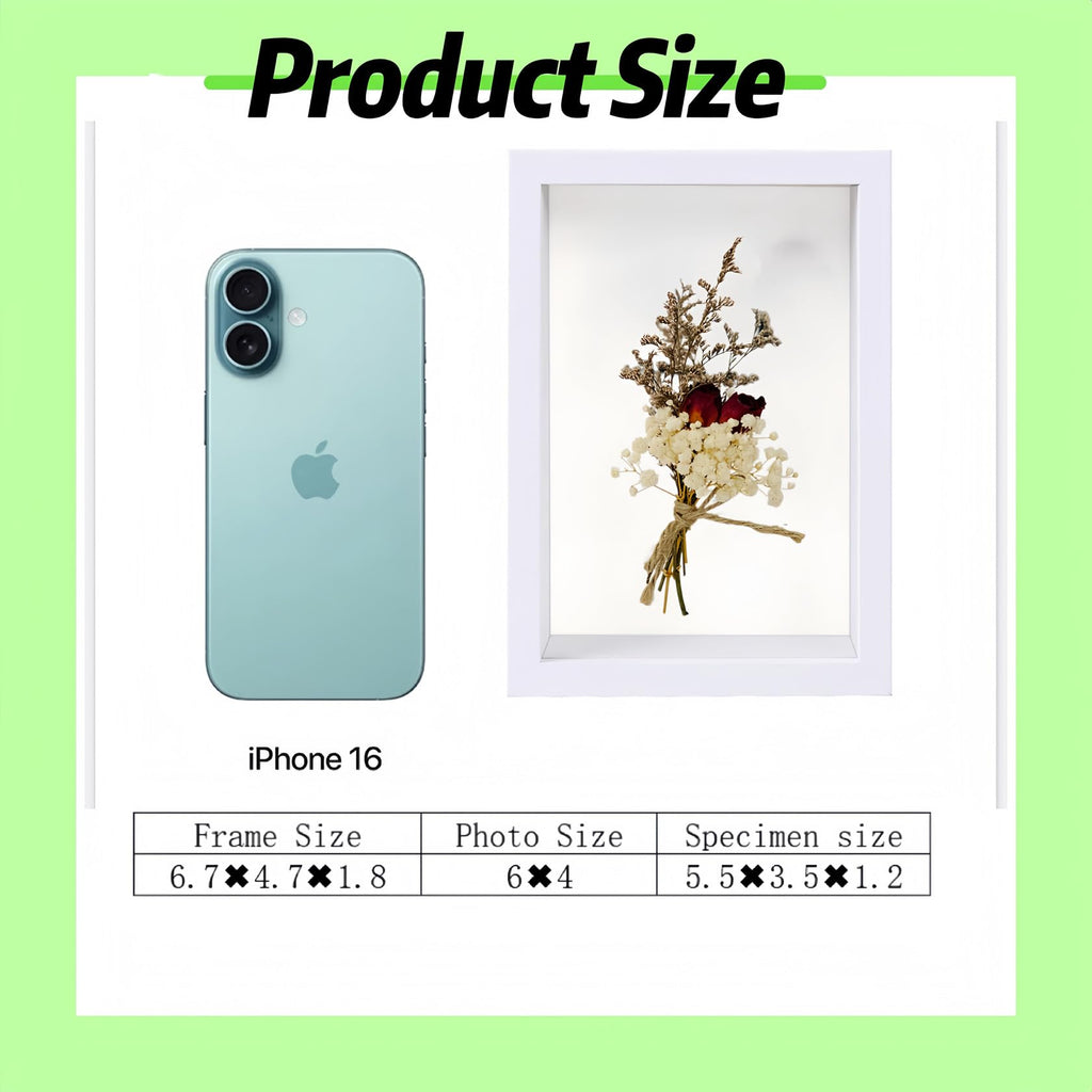 HD Glass Wooden Hollow Photo Frame, 4x6 Shadow Box Frame, Frames for Flower Pressing, Seashell Display Box, Pet