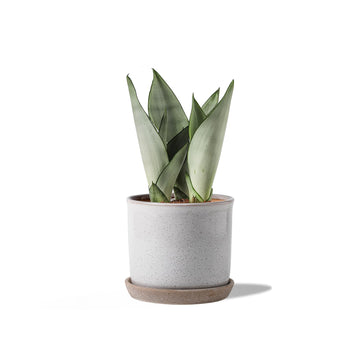5.8 Inch Plant Pot: Ceramic Planter with Drainage Hole & Saucer - Cylinder Round Flowerpot for Indoor & Outdoor