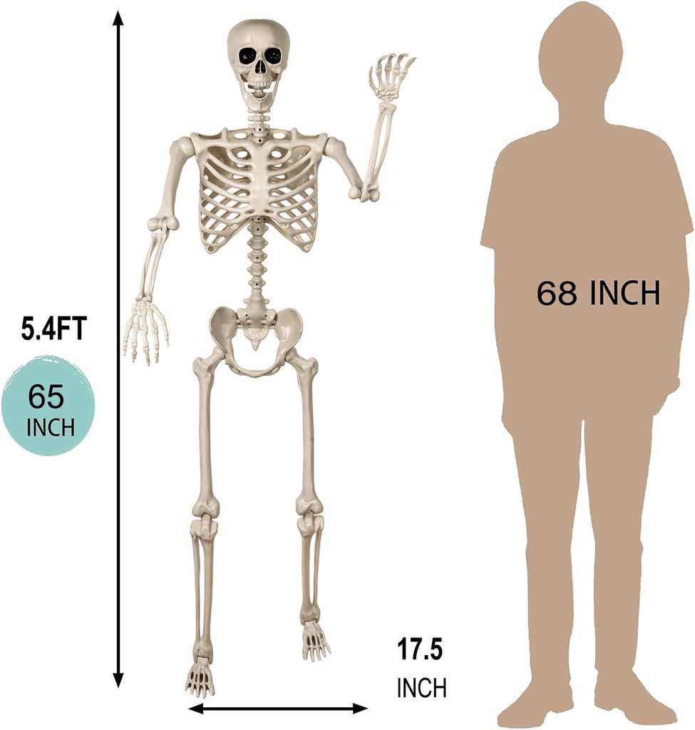 5.4ft/165cm Life Size Skeleton for Halloween Decorations Outdoor/Indoor,Poseable Halloween Giant Skeletons-Full Body