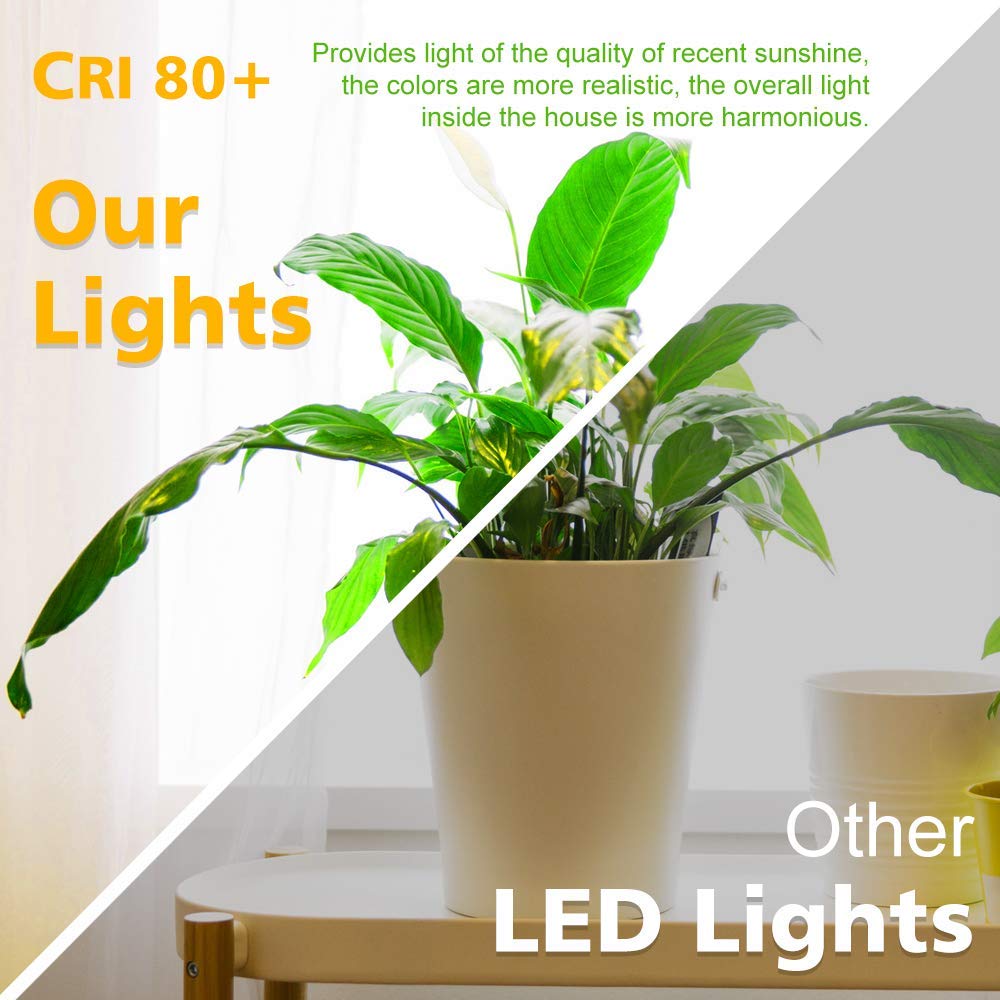 2 Inch LED Downlight, Recessed Lighting Dimmable Ceiling Light, 3W, 5500K Daylight White, CRI80 with LED Driver(35W