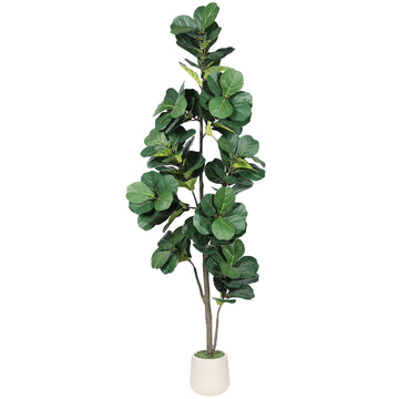 Artificial Fiddle Leaf Fig Tree 7ft with White Exquisite Planter