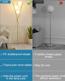 Tripod Floor Lamp Stepless Dimmable Globe Modern Floor Lamp Gold Standing Lamps with Stable Base& 3PCS 3000K Bulbs