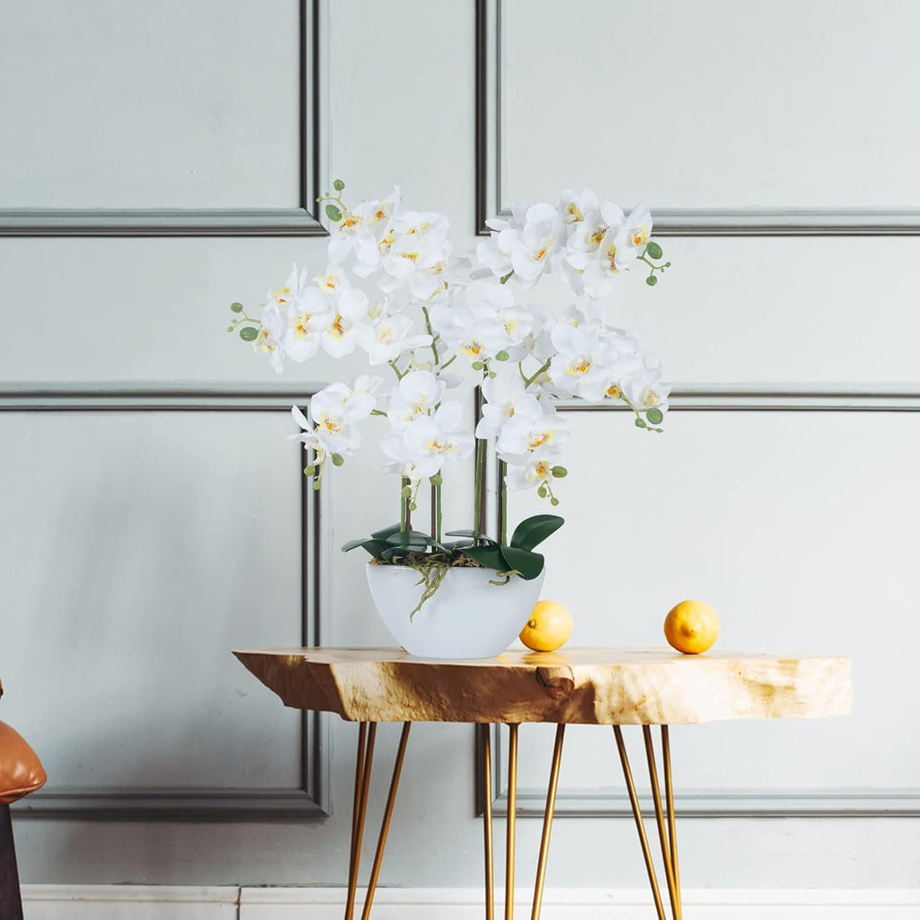 Artificial Orchid Flowers & Plants Potted in Ceramic Pot, White Faux Phalaenopsis Orchids for Table Centerpiece