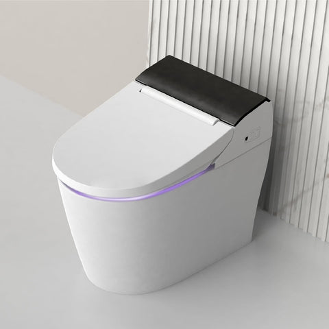 STYLEMENT TCB-8100B Smart Toilet for bathrooms, Elongated One Piece Toilet, 1.12 GPF, Auto Dual Flush