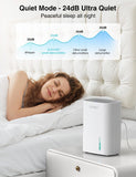 Small Dehumidifier for Home, 30oz Quiet Mini Dehumidifier for Bathroom, Bedroom & Closet