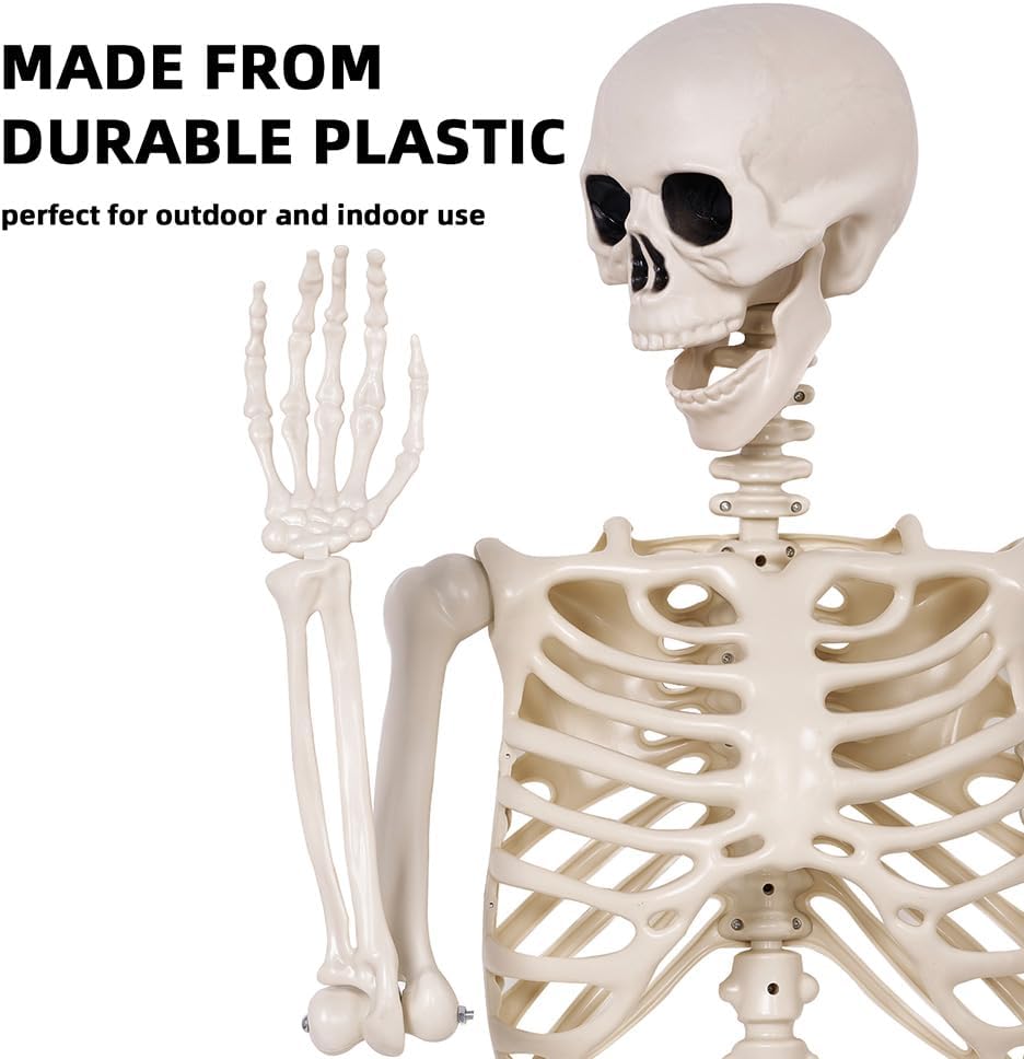 5.4 ft Halloween Skeleton - Life Size Human Skeleton with Full Body Posable Joints - Spooky Scary Plastic Skeleton