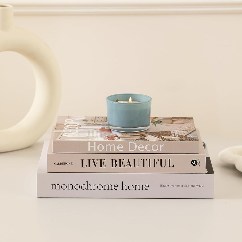 Aesthetic Decorative Books,Set of 3 Stylish Fake Books Storage Box | Modern Faux Books for Decoration,Decor Books Set