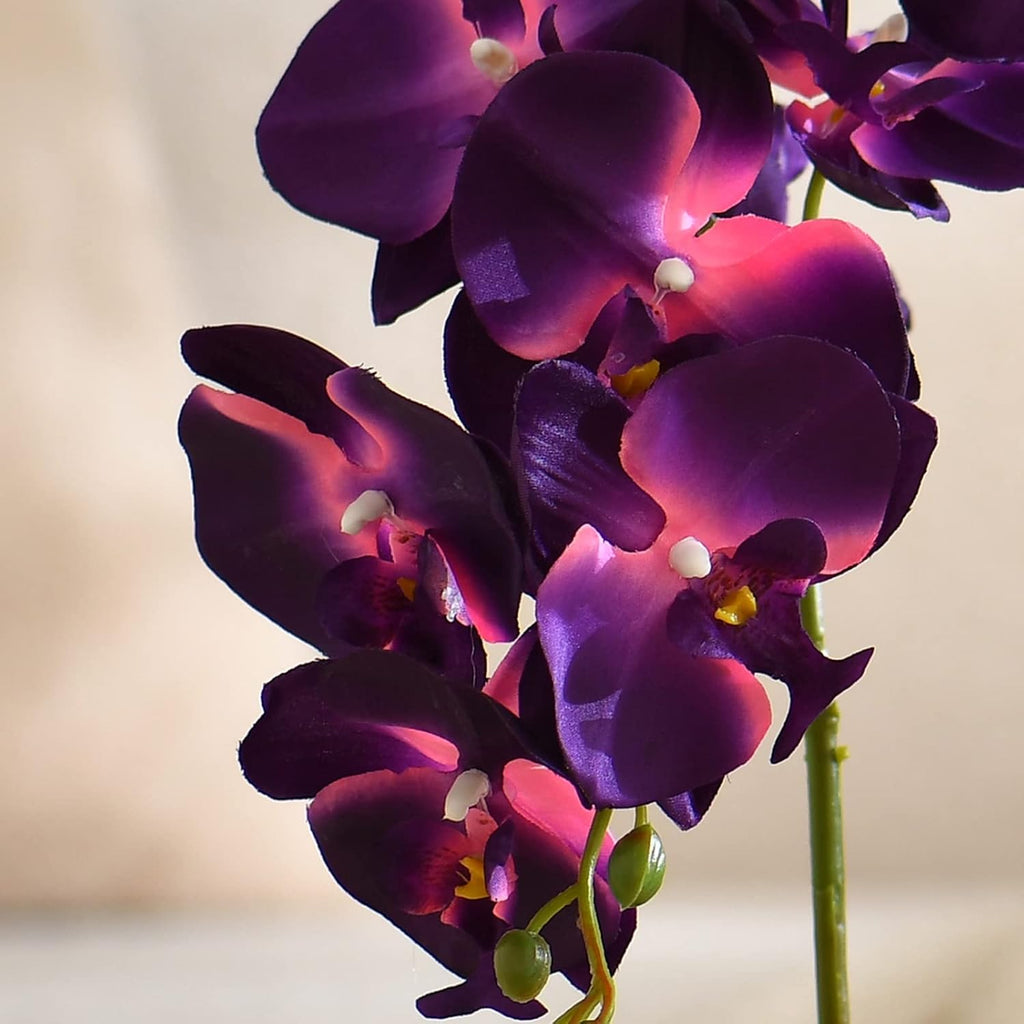 Large Artificial Orchid Arrangement in Oval Ribbed Ceramic Pot, Dark Purple