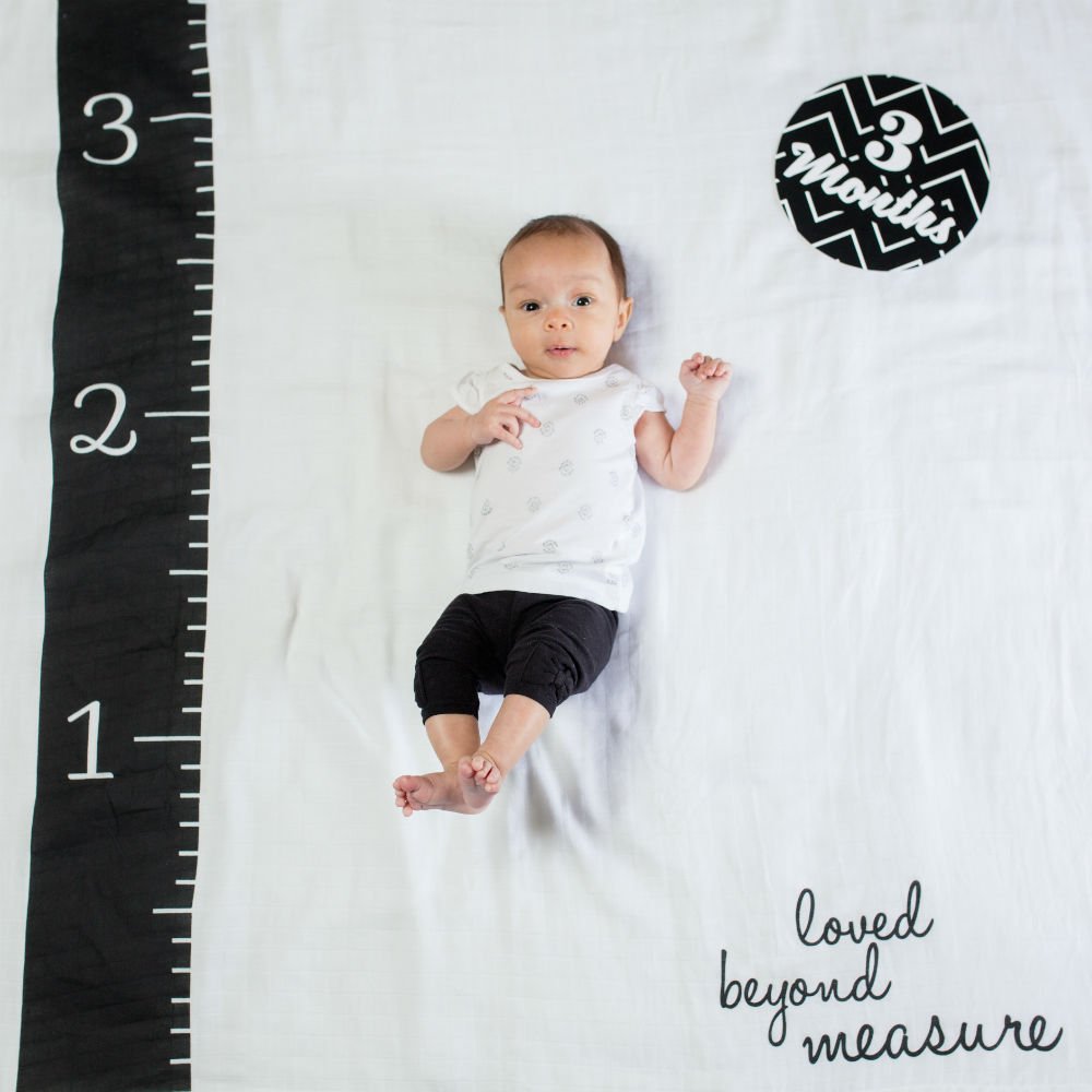 Baby Baby's First Year Milestone Blanket and Cards Set, Loved Beyond Measure