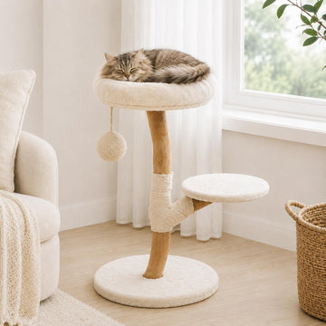 Real Wood Modern Cat Tree Tower, Cat Scratching Post with Bed for Small Indoor Cats, Solid Wooden Climbing Tower