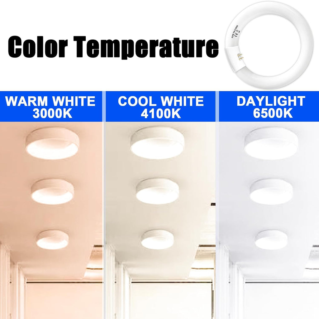 22W and FC12T9/CW 32W Cool White Set, 8 inch T9 22 Watts Circular Light Bulbs, 12 inch 32 Watts Circline