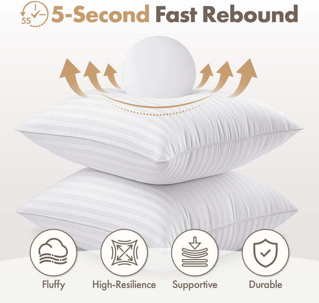 20x20 Throw Pillow Inserts, 100% Virgin Microfiber Filling - Set of 2