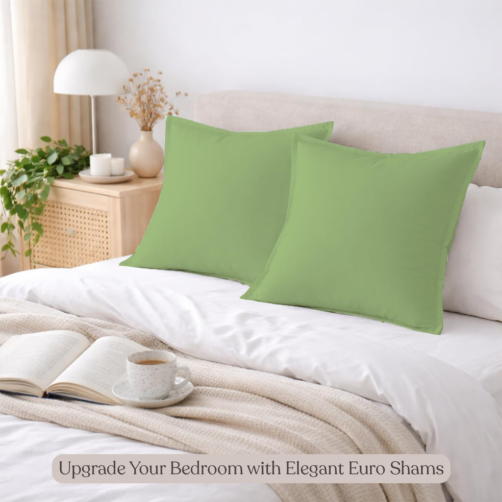 400 TC 100% Egyptian Cotton 18" x18" Size Euro sham Set of 2, Sage