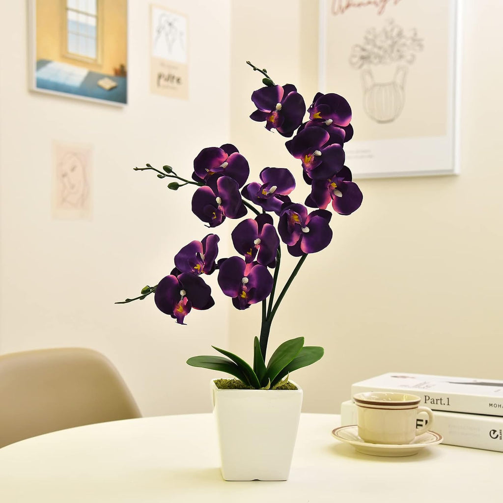 15" Silk Phalaenopsis Orchid in Square Pot, Dark Purple Flower Arrangements