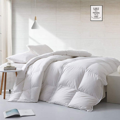 Twin Lightweight Feathers Down Fiber Comforter, Light Warmth Luxury Duvet Insert for Hot Sleepers/Wa