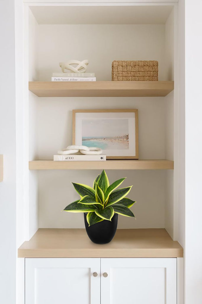 Artificial Snake Plants 9" Faux Agave Succulent Plant Potted in Black Pot Fake Sansevieria Aloe Tropical Plant for