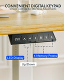EN1 One-Piece Solid Wooden Standing Desk 55 x 24 Inches Height Adjustable Electric Sit Stand Home Office Desks (White