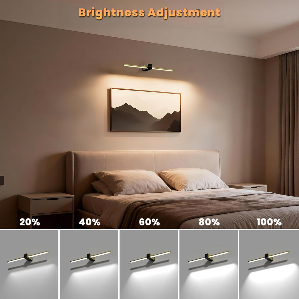 20 Inch Picture Light for Wall, 10000mAh Rechargeable Battery Operated Cordless LED Art Display Light with Remote &