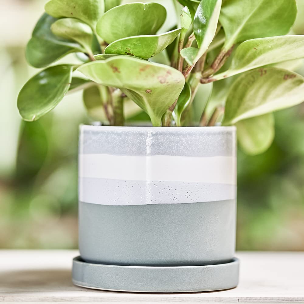 Minute' Ceramic Planter Pot - Cute 5" Colorful Succulent Pots for Indoor & Outdoor House Plants - Beautiful Modern