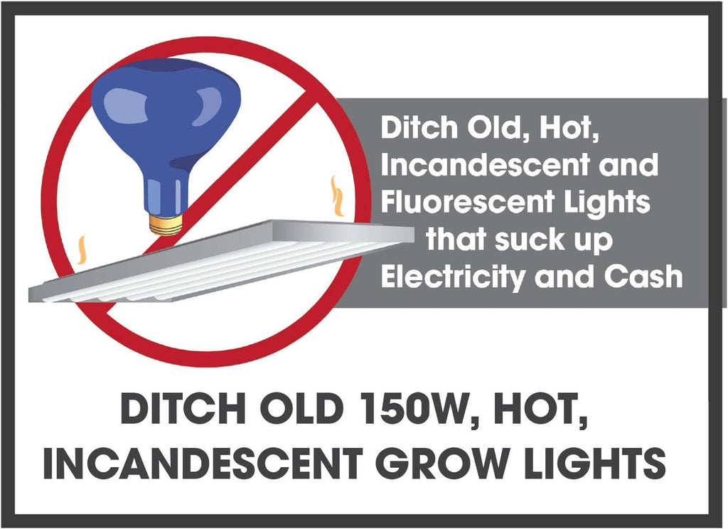 Absolute Daylight Plus Blue Spectrum Grow Light - Replaces up to 150W - Plant Growing Light Bulb for Seeding