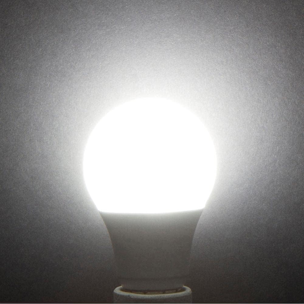 LED A19 Dusk to Dawn 6W 120V Outdoor Bulbs E26 5000K, 4 Pack