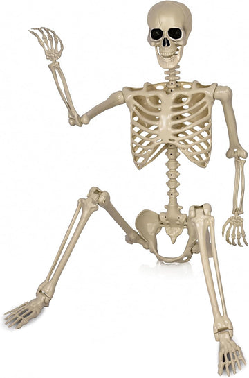 5.4ft/165cm Life Size Skeleton for Halloween Decorations Outdoor/Indoor,Poseable Halloween Giant Skeletons-Full Body