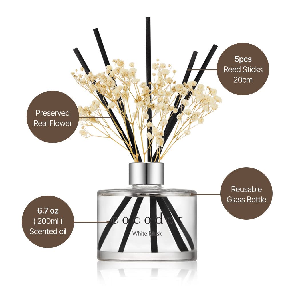 Preserved Real Flower Reed Diffuser/Black Cherry / 6.7oz(200ml) / 1 Pack/Reed Diffuser Set, Oil Diffuser & Reed