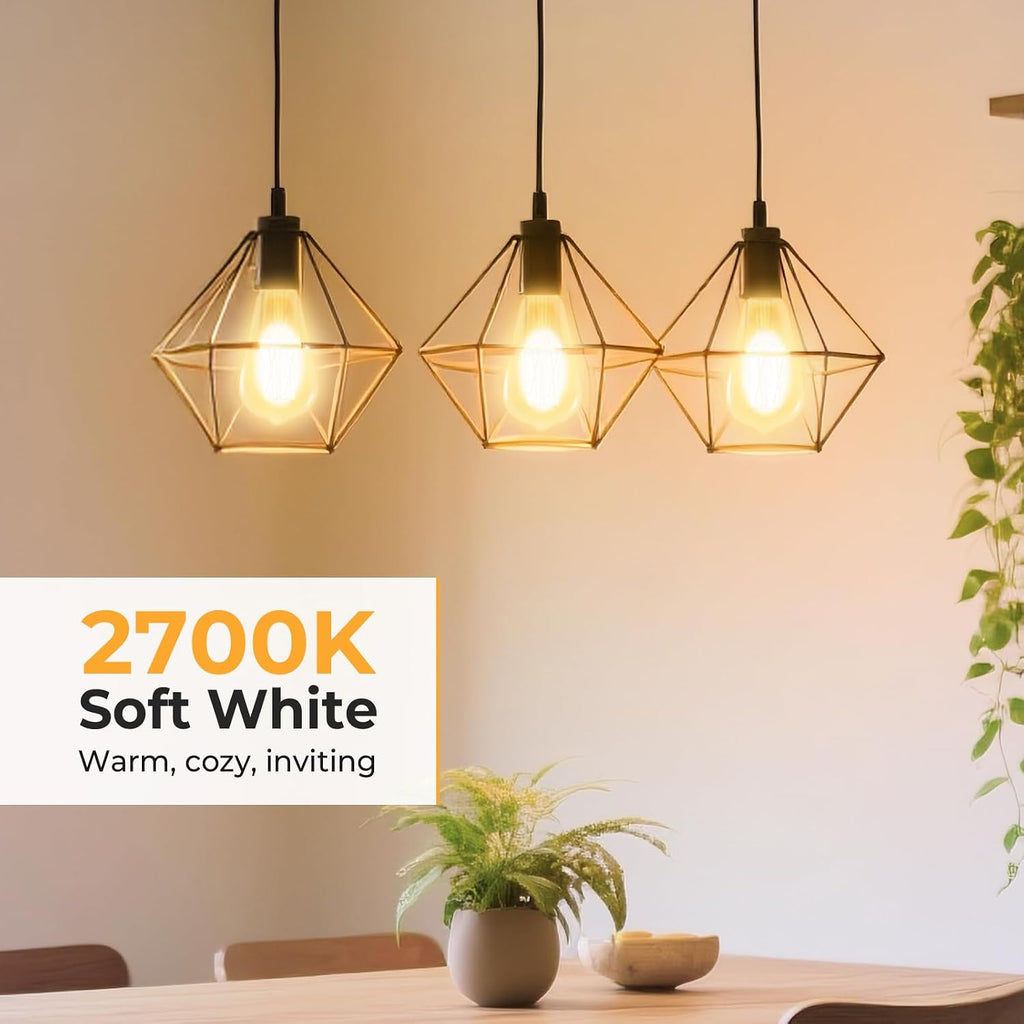 Dimmable Edison Bulbs 2700K Warm White, E26 LED Bulb 60 watt Equivalent