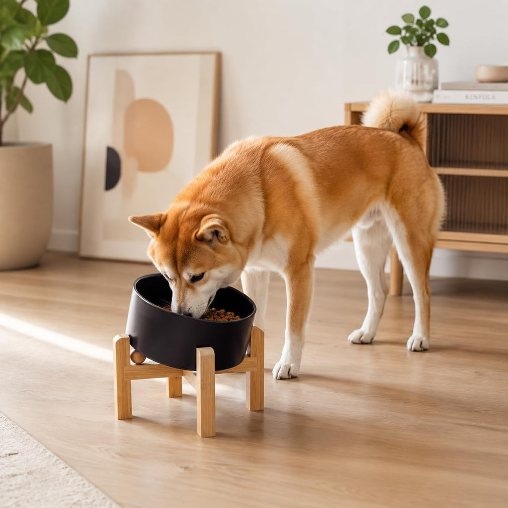 Elevated Ceramic Dog Bowl/Raised Ceramic Dog Bowls with Bamboo Stand, 15°Slanted Raised Pet Feeder for Small Medium