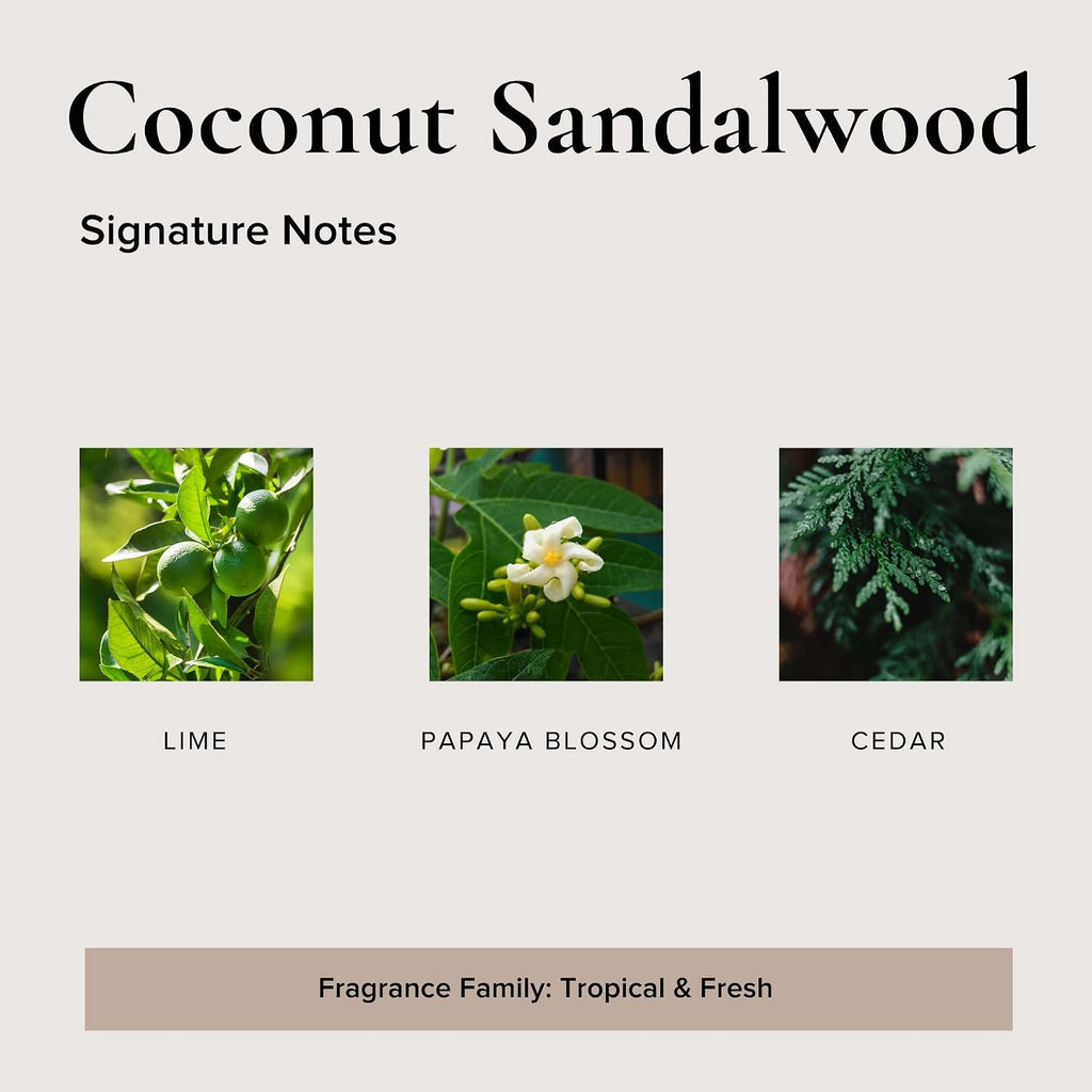 Natural Reed Diffuser Set (Coconut Sandalwood)