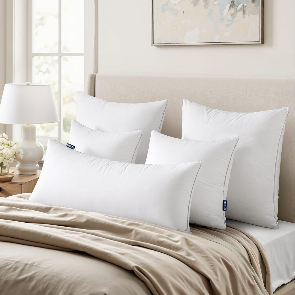 20 x 20 Pillow Inserts () -Throw Pillows for Couch Sofa with 100% Cotton Covers - Set of 2