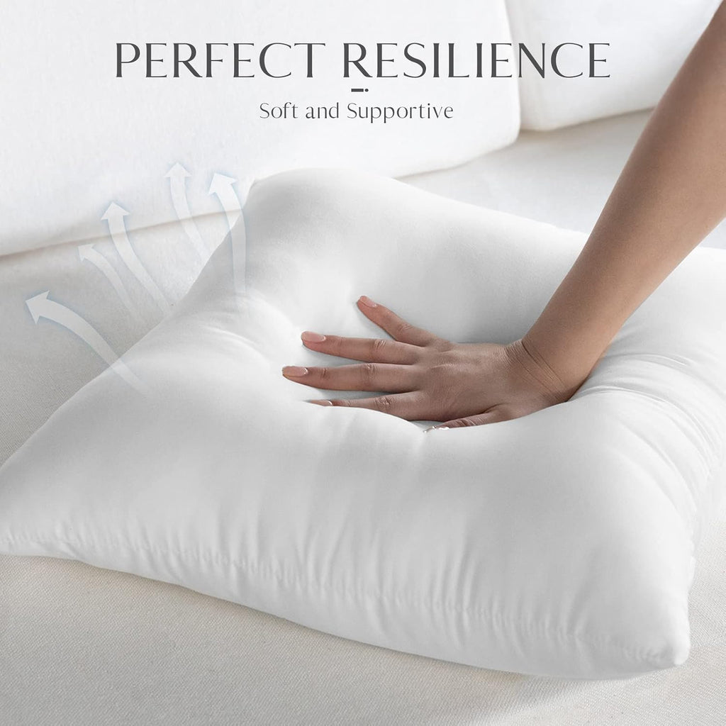 Ashler Outdoor Pillow Inserts, 12x20 Waterproof Throw Pillows - Set of 2