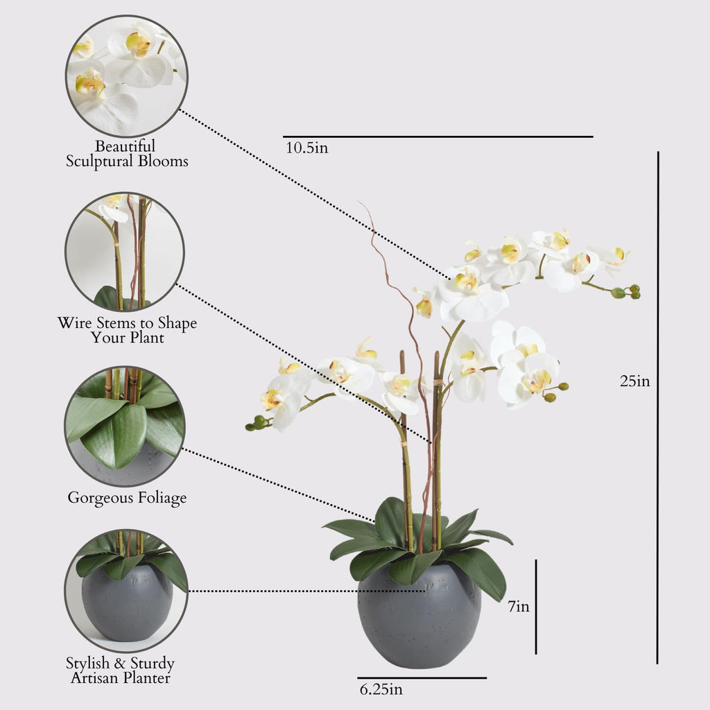Faux White Orchid Plant, 25 in, Grey, Home Decor