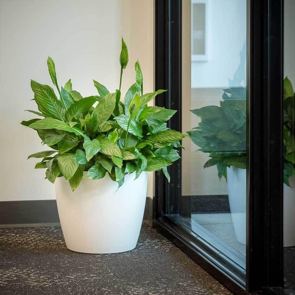 Memphis 15" Round Indoor Floor Planter Pot - Lightweight & Durable Plastic, Modern Design, Made in USA, Recyclable