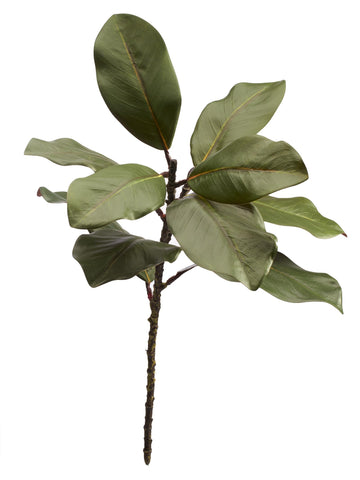 22'' Realistic Southern Magnolia Branches, Real Touch Leaves, Artificial Magnolia Picks Décor, Set of 3