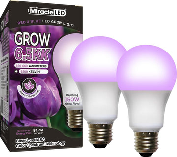 6.5K Indoor Grow Light Bulb - 6500K Blue & Red Spectrum Grow Bulbs for Vegetables, Herbs, Hydroponics. (2-Pack)
