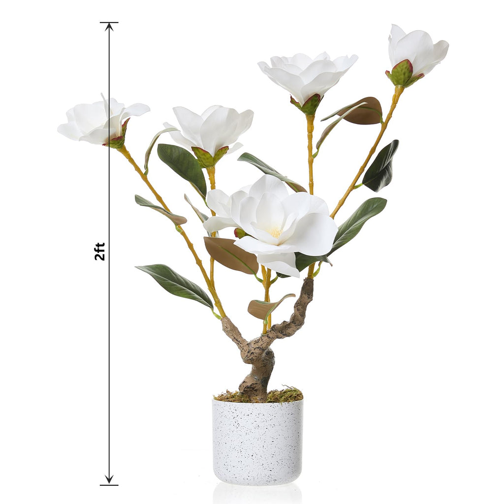 24" Artificial Magnolia Tree in White Planter, Realistic Magnolia Grandiflora with 6 Lifelike Flowers, Fake Potted