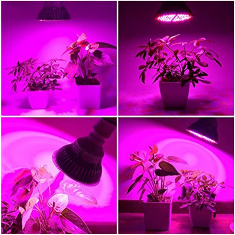 100W E27 Plant Grow Light, Full Spectrum Bulb for Greenhouse