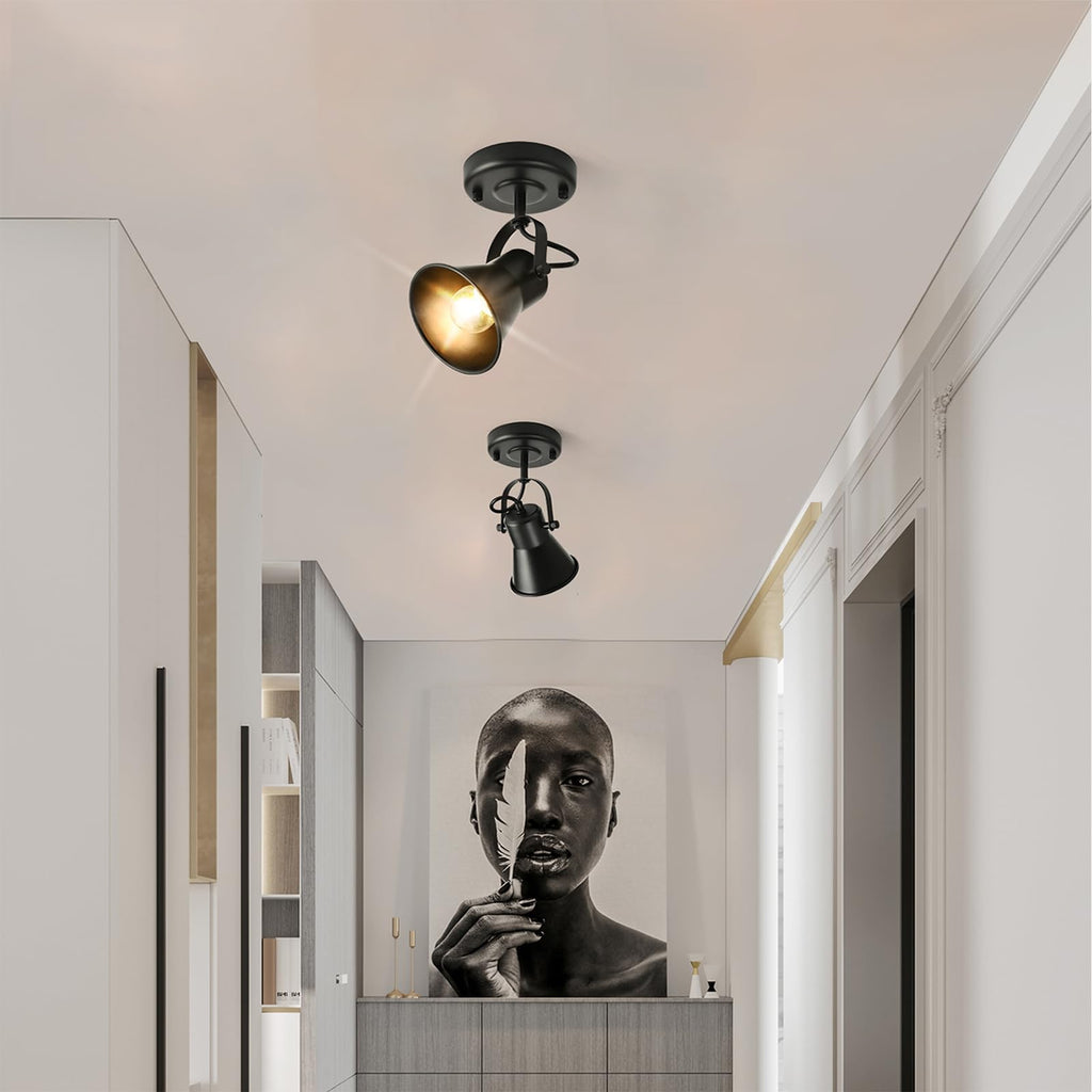 Industrial Mini Track Lighting Ceiling Light, Black Spot Lights Indoor with Multi-Directional Adjustable Light Head
