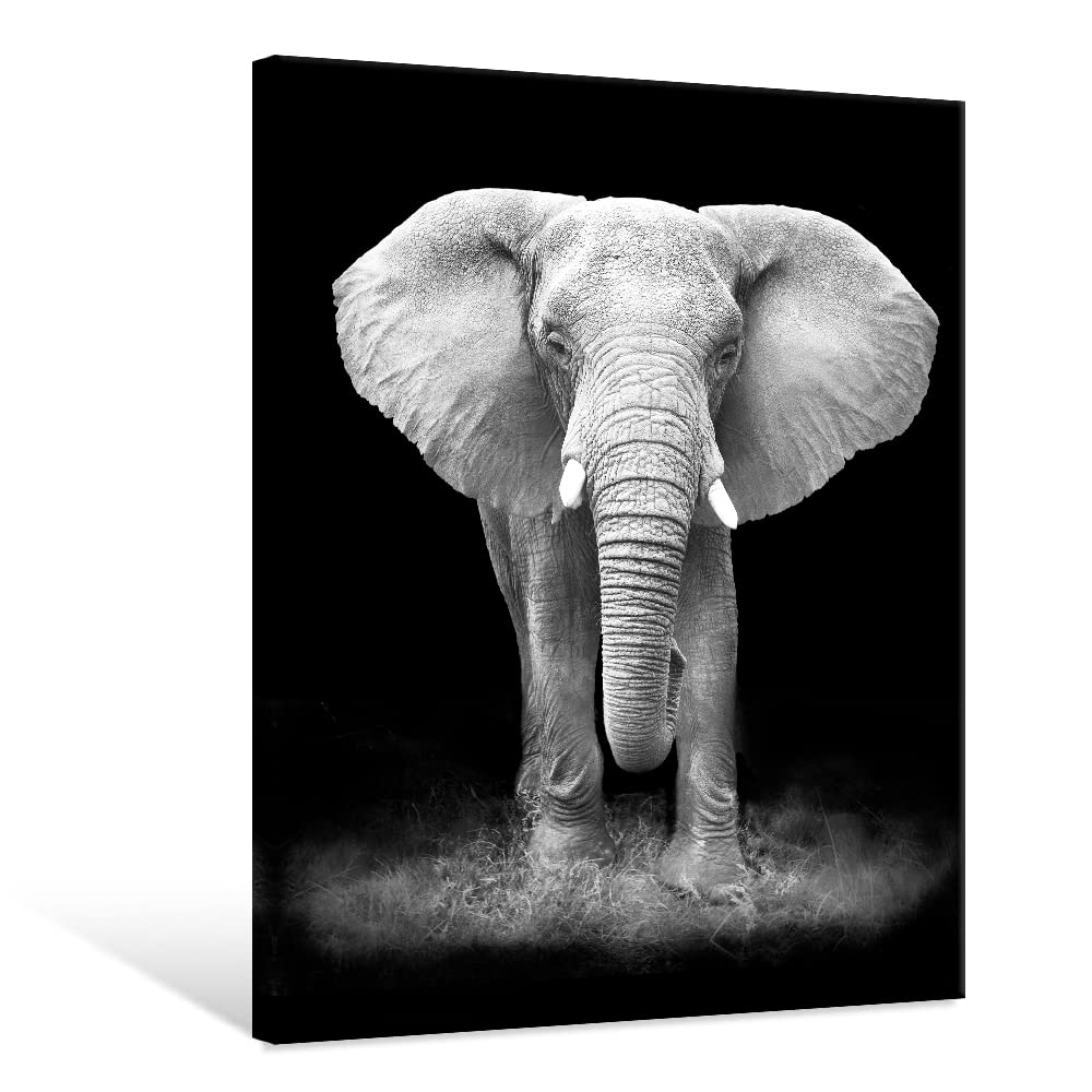 Modern Black And White Animals Picture Prints Elephant Portrait Wildlife Nature Photography Artwork Living Room