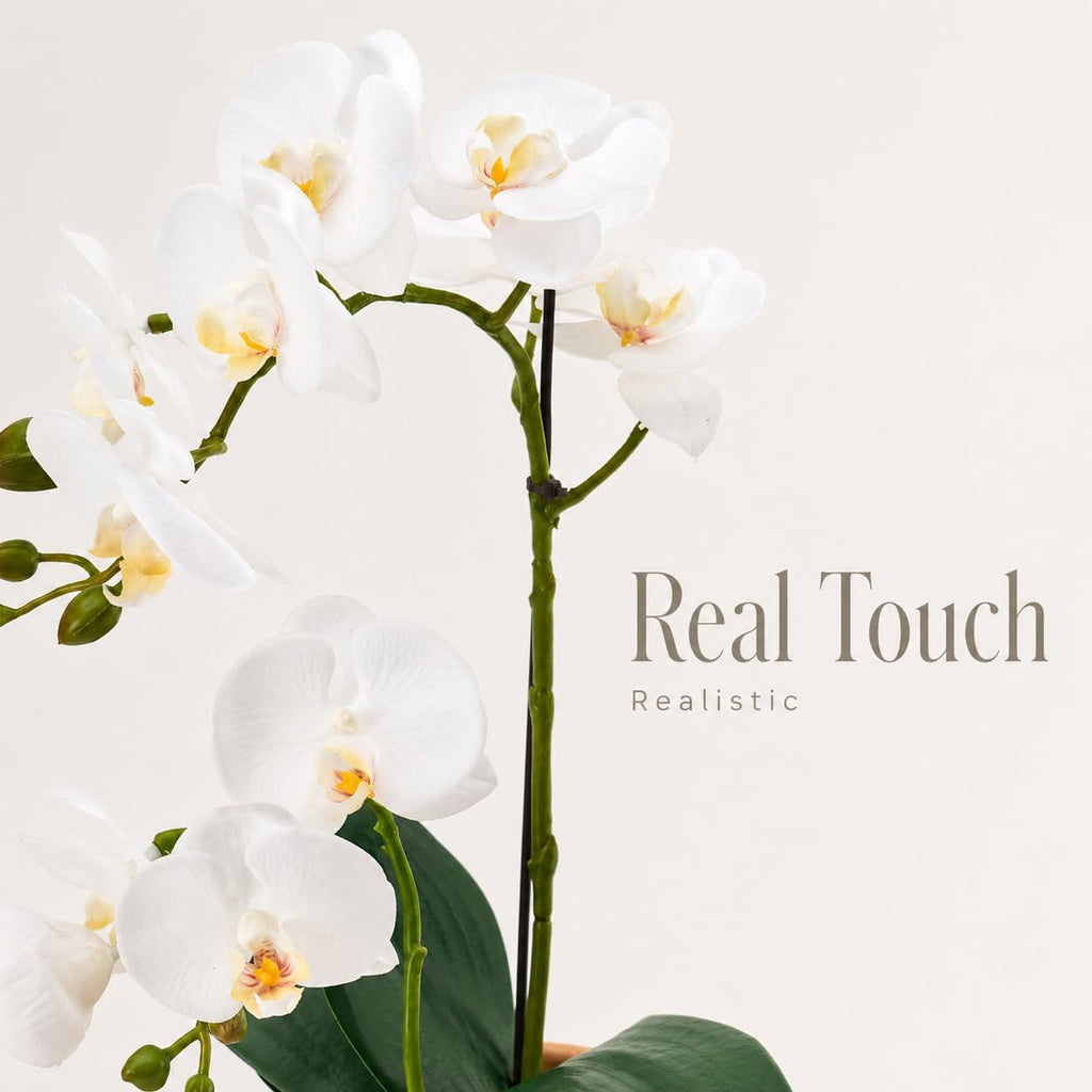 15-Inch Real Touch Artificial Phalaenopsis Orchid in Pot, White