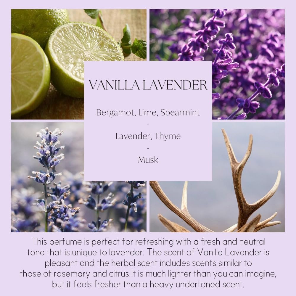 Vanilla Lavender Scented Oil Refills for Reed Diffuser, 16.9oz(500ml), 10 Fiber Reed Sticks, Home Fragrance - Set of 169
