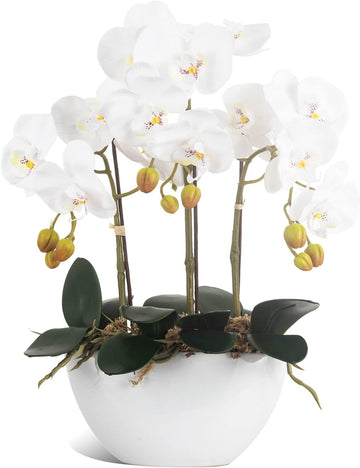 Artificial Orchid Flowers Potted in Ceramic Pot, White Faux Phalaenopsis Orchids for Table Centerpiece, Realistic