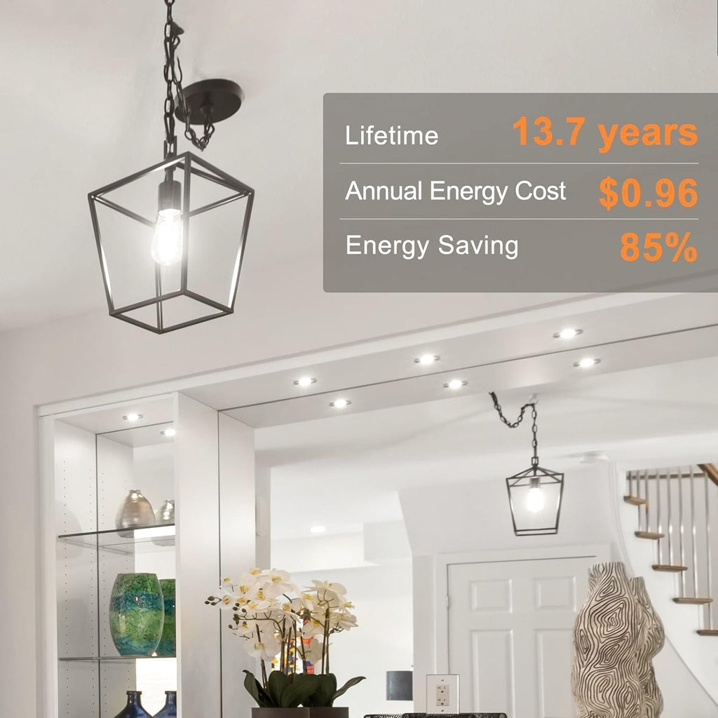 Edison Light Bulbs, E26 Dimmable Vintage Bulb, 8W = 60W Equivalent