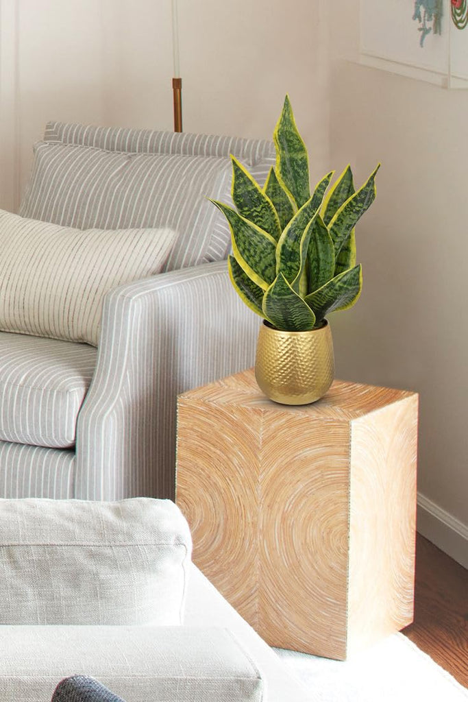 Artificial Snake Plant in Gold Pot, 18" Faux Sansevieria Potted Plant Decor, Fake Snake Plants Laurentii Indoor