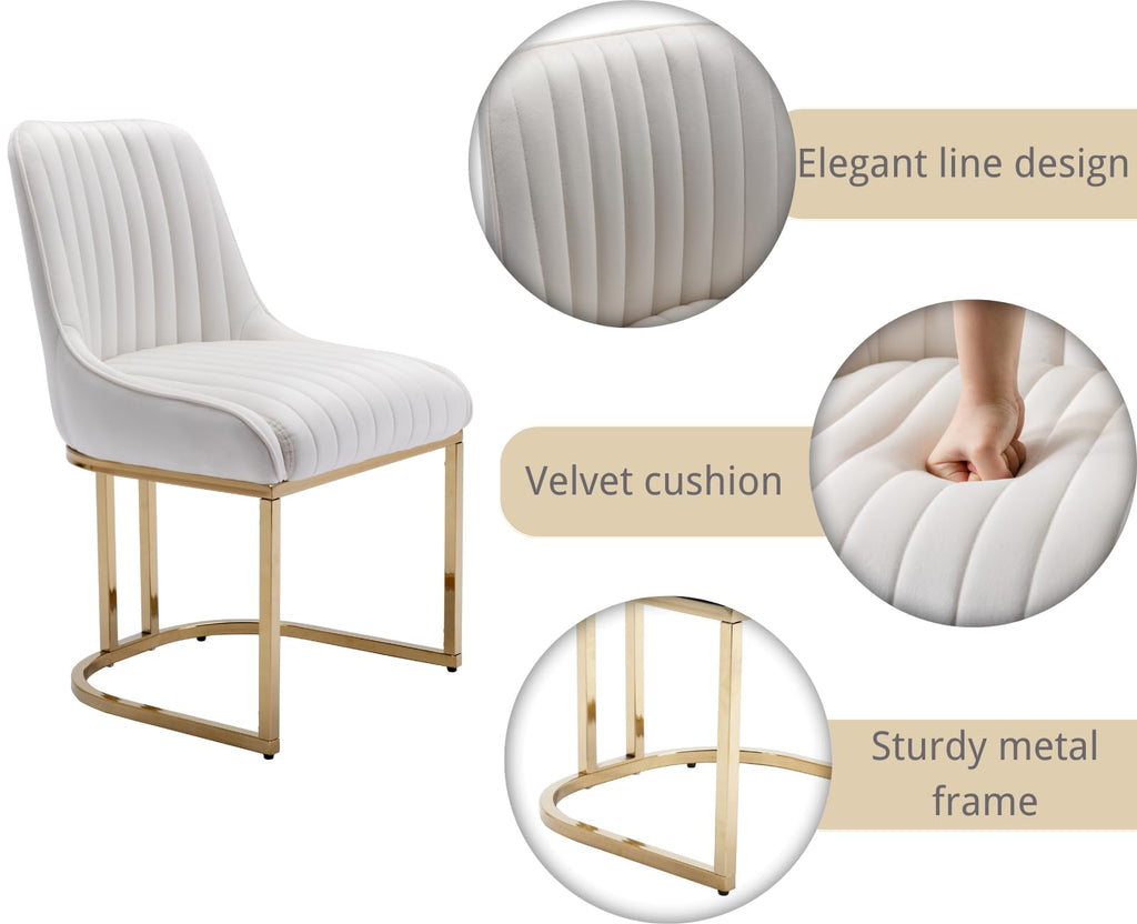 Velvet Upholstered Dining Chairs Set of 4 Modern Accent Dining Room Chairs with Gold Metal Base Comfy Padded Kitchen