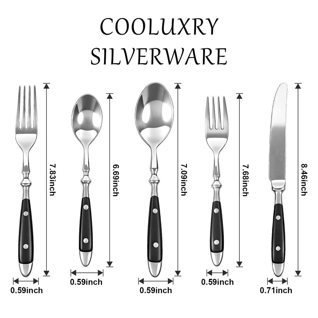 Black Silverware Set, 20pcs Flatware Set with Black Bakelite Handle